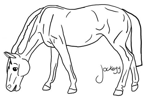 coloring pages  horses image animal place