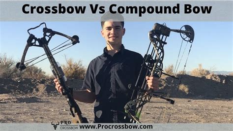 crossbow  compound bow     professional hunters