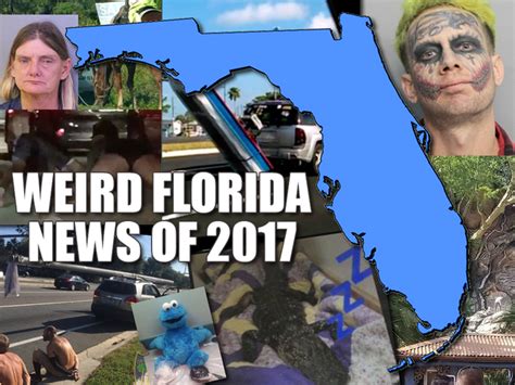 here are the top weird florida news stories of 2017