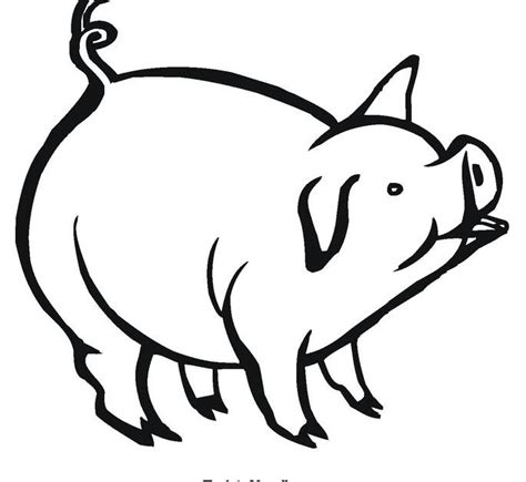 pig coloring page cute animal wallpaper
