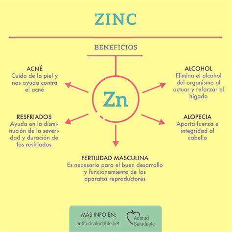 zinc mineral imprescindible en nuestra salud consejos  la salud remedios  la salud