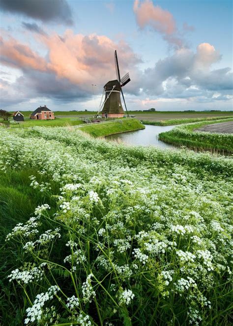 holland scenery images  pinterest