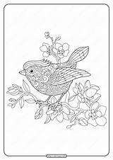Branch Flowering Bird Coloring Tree Whatsapp Tweet Email sketch template