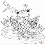 Zentangle Frog Coloring Prince Pages Crown Cute Vector Printable Book Frogs Drawing sketch template