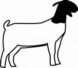 Goat Clipartmag Boer sketch template