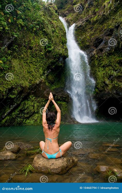 exotic waterfall woman stock photo image  coconut