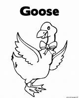 Goose Coloring Printable Pages Animal Print Color Info sketch template