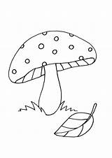 Mushroom Grzyby Mushrooms Jesienne Kolorowanka Druku Fungi Pokoloruj Vegetable sketch template