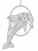 Zentangle Dolphin Coloring4free Favorite sketch template
