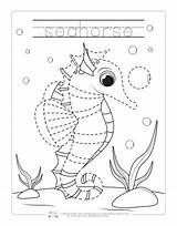 Tracing Seahorse Itsybitsyfun Colouring sketch template