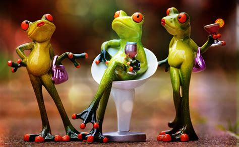 frogs drink celebrate funny party figurine  people  image peakpx