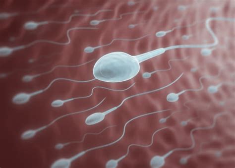 妊活中に受ける検査の一つ、男性の精子検査とは？│amoma
