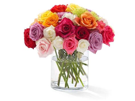 bonito florero  rosas de colores fl  envia flores  regalos en