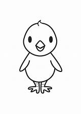 Coloring Chick Pages Kids sketch template
