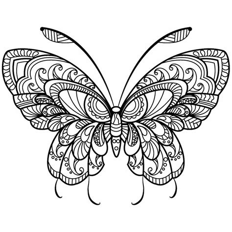 pin  amy beth fitzpatrick  coloring pages  butterfly