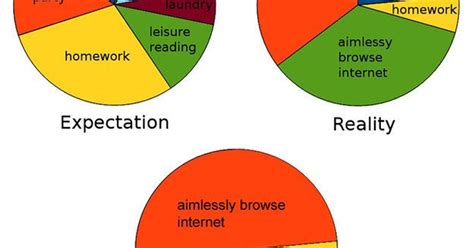 college explained perfectly in pie charts buzzfeed huffpost uk
