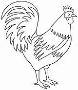 Rooster Roosters Chickens Getdrawings sketch template