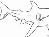 Megalodon Shark Coloring Pages Getcolorings Print Blue Colo Color Getdrawings Printable sketch template
