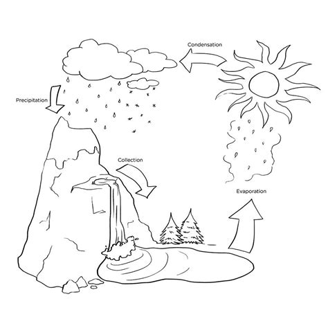 activities water cycle coloring page   water cycle mickey