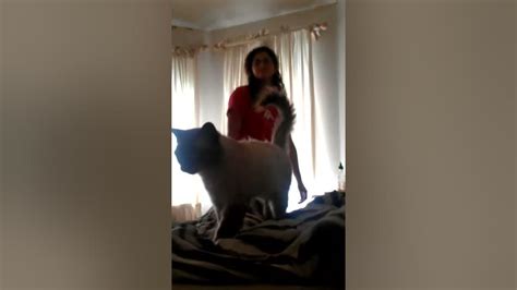 Reem And Her Pussy Dancing Youtube