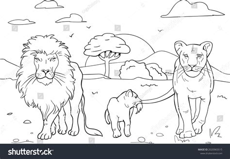 colourful lioness images stock  vectors shutterstock