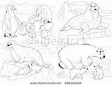 Coloring Animals Pages Arctic Tundra Preschoolers Getcolorings Color Getdrawings sketch template