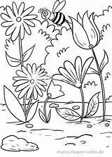 Malvorlage Biene Malvorlagen Bienen Wiese Blumenwiese Insekten Boyama Malen Ari Grundschule Getreide Tiere Kinderbilder sketch template