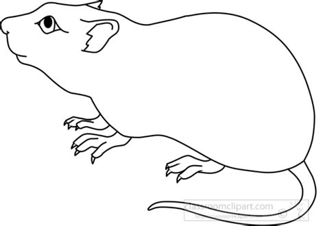 animals mouseoutline classroom clipart