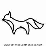 Fuchs Ausmalbilder Raposa Ultracoloringpages sketch template