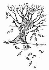 Coloring Autumn Tree sketch template