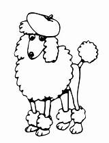 Poodle Coloring Pages Print sketch template