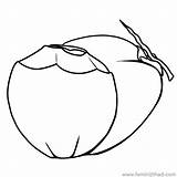 Buah Buahan Indah Kanak Kelapa Sayuran Sayur Coconuts Mewarnai Ringkasan Pokok Bayi Mewarnakan Melepaskan Kreativiti Cocos Webtech360 Webstockreview Coloringfolder sketch template
