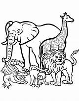 Animals Wild Coloring Pages Kids Categories Printable sketch template