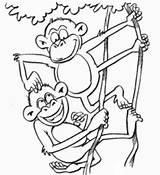 Mewarnai Monyet Binatang Lucu Monkey Monkeys Diwarnai sketch template