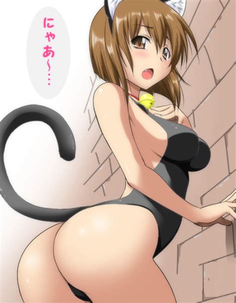 hentai cat girl cosplay