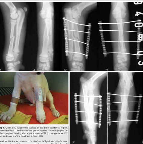 treatment  orthopaedic problems  manuflex disposable external fixator   dogs