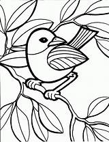 Kids Coloring Bird Pages Color Print Printable Colouring Paint Book Sheet Drawing Animals Tumblr sketch template