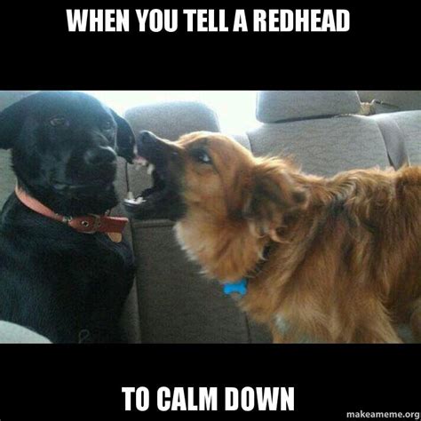 23 entertaining redhead memes that ll complete your day