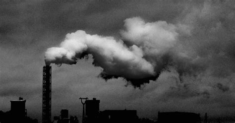 effects  environmental pollution  human health essay bleedgreen