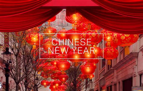 travellers guide  celebrating chinese  year