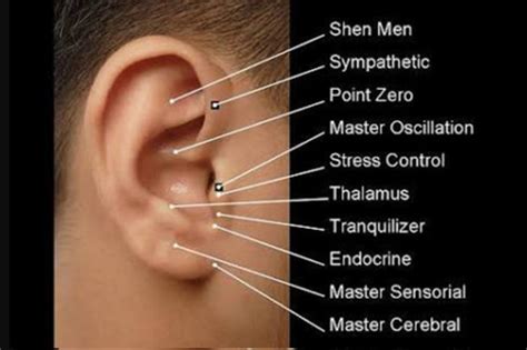ear auricular acupuncture  pain relief treatment nashik