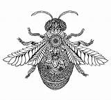 Bee Zentangle Tattoo Drawing Botanical Emily Brooks Animals Insect Bees Illustration Rosalind Monks Mandala Craftwhack Insects Animal Pattern Templates Drawings sketch template