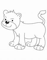 Cub Lion Coloring Kids sketch template