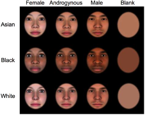 frontiers gendered race are infants face preferences guided by