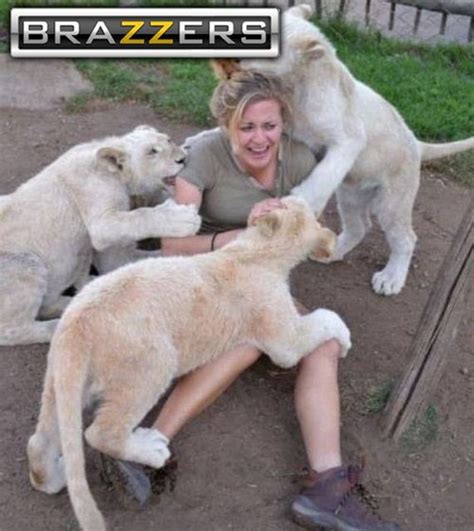 just add the brazzers logo barnorama