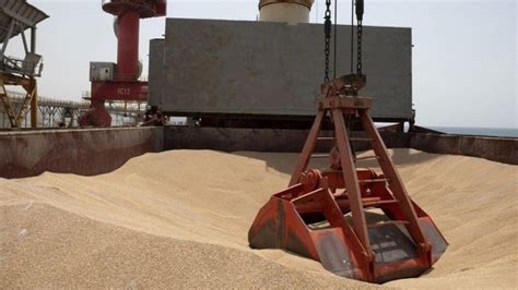 Eu Rejects Ukraine Grain Bans By Poland And Hungary