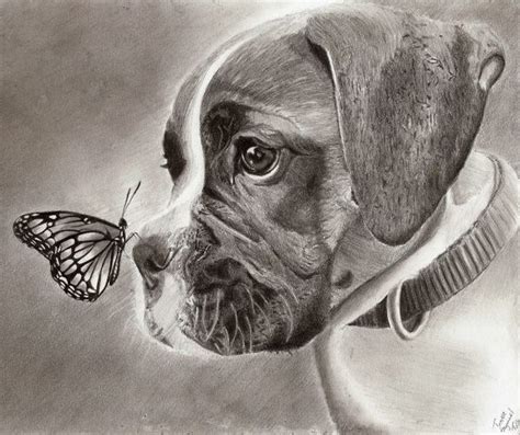 lovely dog drawings  inspiration hative dog drawing dog paintings animal drawings