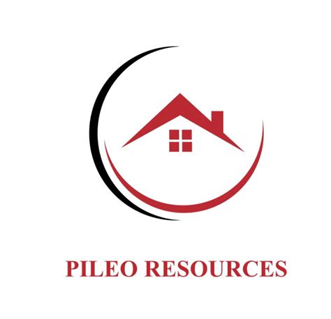 pileo resources offering internship opportunity malaysia internships