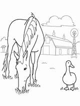 Coloring Pages Horse Farm Animal Printable Print Herd Spirit Templates Wild Template Kids Animals Color Sheets Horses Rocks Frame Two sketch template