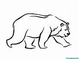 Mewarnai Beruang sketch template